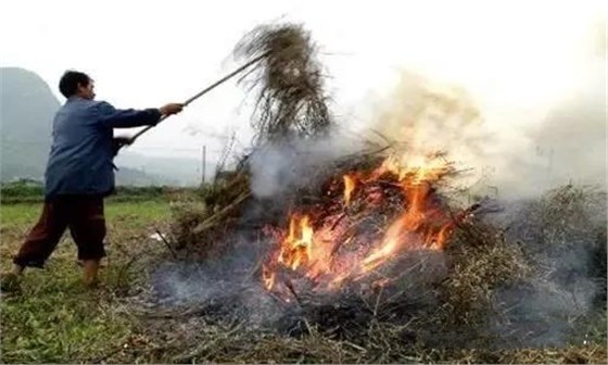 大力士 生物質(zhì)燃燒機