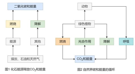 大力士生物質(zhì)燃燒機(jī)