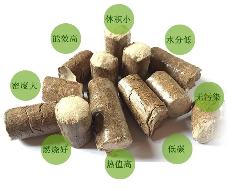 打開生物質(zhì)能巨大發(fā)展空間（二）