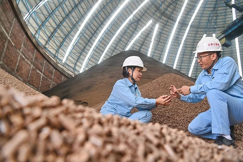 工業(yè)降碳新寵：農(nóng)作物秸稈“變廢為寶”1