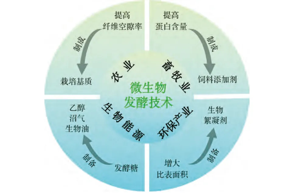 “雙碳”背景下中藥藥渣高值化利用技術(shù)與途徑1